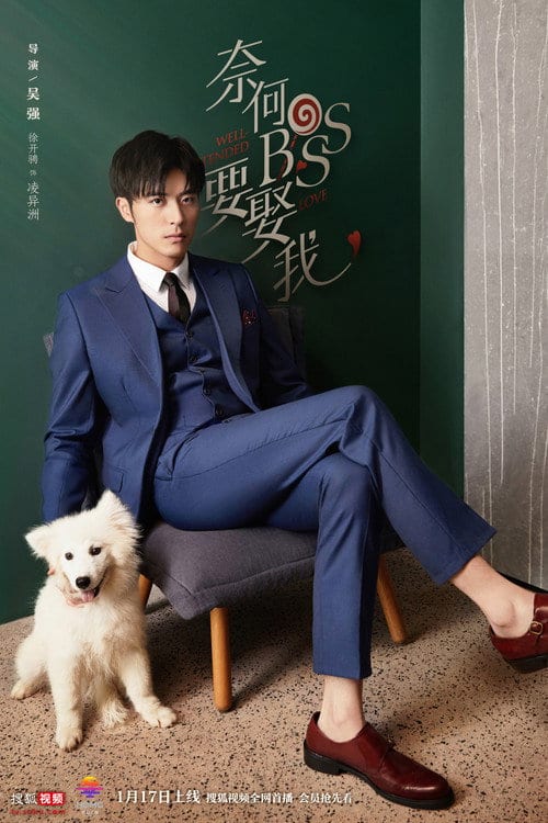 Tại Sao Boss Muốn Cưới Tôi 2